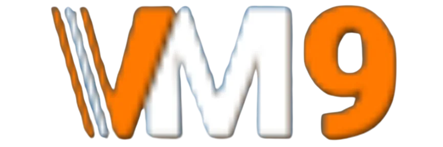 VM9 แทงบอลออนไลน์ ราคาดี เว็บตรง ฝากถอนออโต้